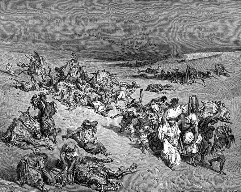 Cinquième plaie : la mort du bétail